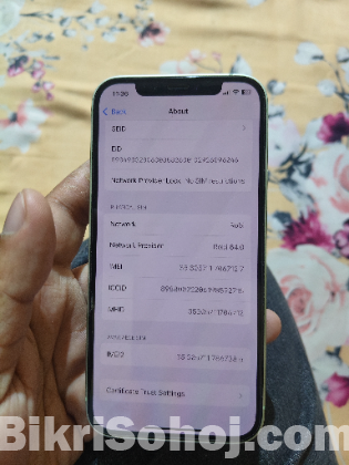 I phone 12